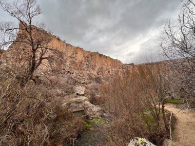 Bulutlu bir günde kurumuş bir ağacın arkasındaki kayalık bir uçurum manzarası