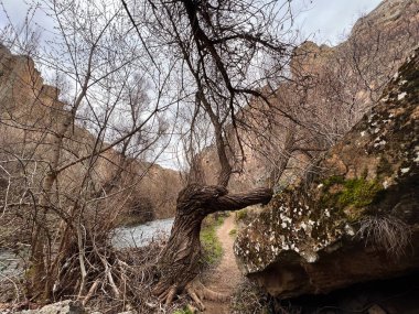 Bulutlu bir günde vadi boyunca toprak patikasının yanında akan bir nehir.