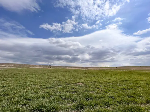 yeşil bitkiler tarlada ve tepeler bulutlu mavi gökyüzünde