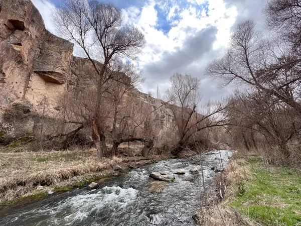 Nehir kıyısındaki vadide ağaçların, kayaların ve otların arasında kirli bir patika.