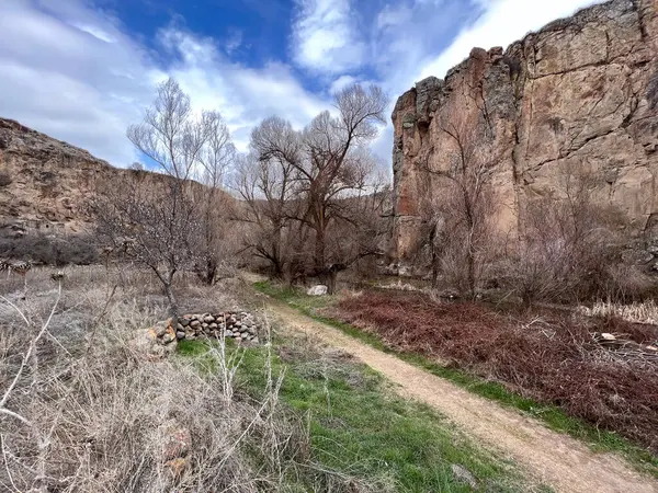Vadideki kayalık uçurumun kenarındaki yeşil otların arasında kirli bir patika.