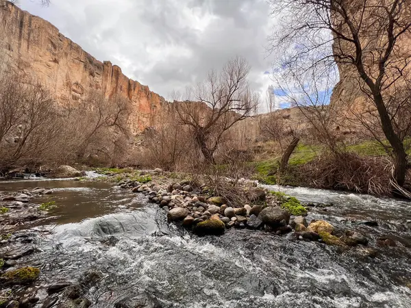 Bulutlu bir günde vadide akan nehrin suyu dağların arasında.