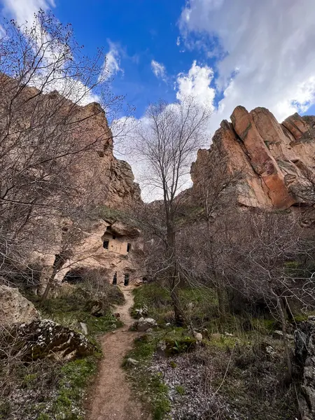 Bulutlu bir günde vadideki ağaçların arasında oyulmuş taş mağara evine giden bir yol.