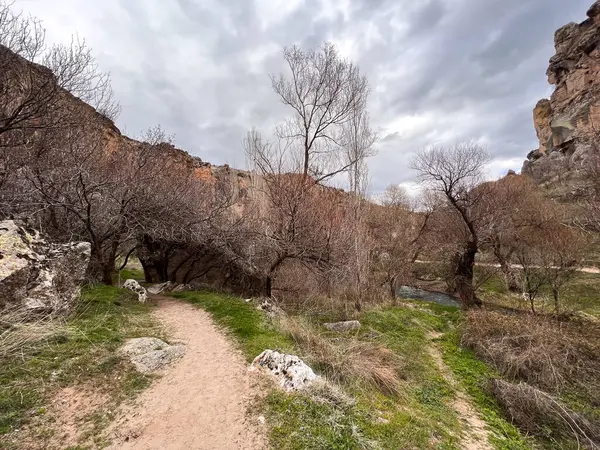 Nehir kıyısındaki vadide ağaçların, kayaların ve otların arasında kirli bir patika.