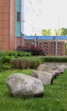 Çim dekorasyonu için kullanılan kaldırım taşları 