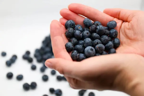 Beyaz arka planda taze yaban mersini tutan bir kadın. sağlıklı beslenme