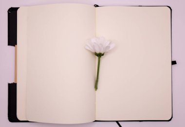 Boş sayfaları ve beyaz arkaplanda izole edilmiş beyaz çiçekleri olan açık bir defter