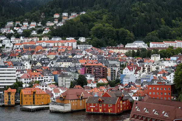 Bergen şehrinde renkli evler, hava manzarası