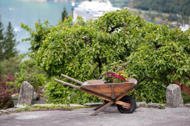 Dekoratif küçük el arabası. Arka planda yeşil ağaçlı çiçekler..
