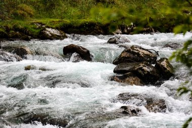 Hızlı dağ nehri, taşlarla ve akıntılarla. 
