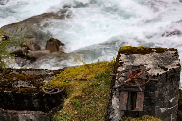 Nehrin yakınındaki paslı metal bir kapının dikey görüntüsü.