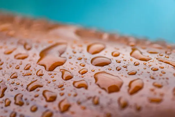 Su, ahşap bir yüzeye düşer. Yakın plan, seçici odaklanma. Makro