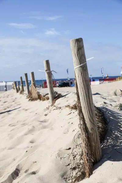 Perspective shot of old wooden columns on the sand beach of Warnemnde. High quality photo