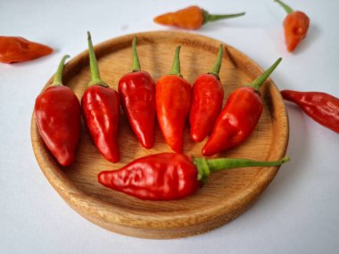 Kırmızı arnavut biberi. Acı bir tadı olan ve sıklıkla yemek ve tıpta kullanılan bir biber türüdür. Bu biber ince şekli, parlak kırmızı rengi ve yüksek baharat seviyesi ile bilinir.