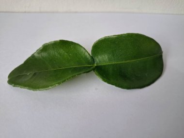 Kafir limon yaprakları. Özellikle Asya mutfağında, eşsiz lezzetleri ve aromaları için kullanılırlar. Bitkisel ilaçlar da dahil olmak üzere çeşitli uygulamalarda da kullanılmaktadırlar.