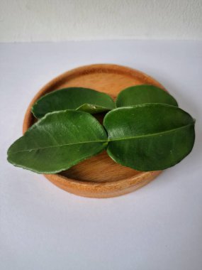 Kafir limon yaprakları. Koyu yeşil, parlak, çift katlı, güçlü, aromalı ve aromalı bir yaprak. Genellikle Güneydoğu Asya mutfağında eşsiz koku ve tatları için kullanılır.