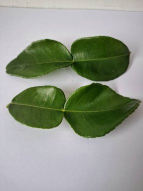 Taze kaffir limon yaprakları. Bunlar öncelikle Güneydoğu Asya mutfağındaki yoğun narenciye aromaları ve tatları için kullanılır. Çorba, köri, kızartma ve salatalara lezzet katmak için eklenir.