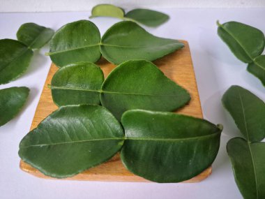 Kafir limon yaprakları. Koyu yeşil, parlak, çift katlı, güçlü, aromalı ve aromalı bir yaprak. Genellikle Güneydoğu Asya mutfağında eşsiz koku ve tatları için kullanılır.