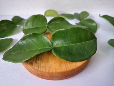 Kafir limon yaprakları. Koyu yeşil, parlak, çift katlı, güçlü, aromalı ve aromalı bir yaprak. Genellikle Güneydoğu Asya mutfağında eşsiz koku ve tatları için kullanılır.