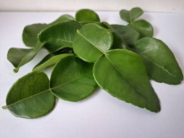 Kafir limon yaprakları. Özellikle Asya mutfağında, eşsiz lezzetleri ve aromaları için kullanılırlar. Bitkisel ilaçlar da dahil olmak üzere çeşitli uygulamalarda da kullanılmaktadırlar.