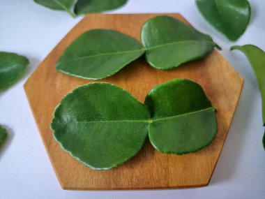 Kafir limon yaprakları. Koyu yeşil, parlak, çift katlı, güçlü, aromalı ve aromalı bir yaprak. Genellikle Güneydoğu Asya mutfağında eşsiz koku ve tatları için kullanılır.