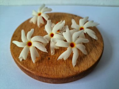 Servis tahtasındaki taze parijat çiçekleri. Çeşitli kullanımları var, hem tıbbi hem de kültürel. Ayurvedic tıpta ateş, öksürük ve soğuk algınlığını tedavi etmek için kullanılır. Çiçekler Hindu ayinlerinde ve tanrılara adak olarak da kullanılır.