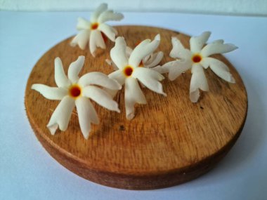 Servis tahtasındaki taze parijat çiçekleri. Çeşitli kullanımları var, hem tıbbi hem de kültürel. Ayurvedic tıpta ateş, öksürük ve soğuk algınlığını tedavi etmek için kullanılır. Çiçekler Hindu ayinlerinde ve tanrılara adak olarak da kullanılır.