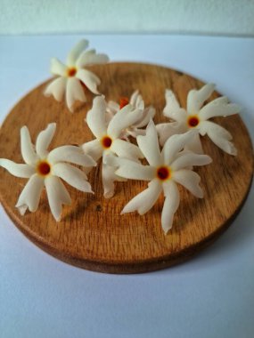 Servis tahtasındaki taze parijat çiçekleri. Çeşitli kullanımları var, hem tıbbi hem de kültürel. Ayurvedic tıpta ateş, öksürük ve soğuk algınlığını tedavi etmek için kullanılır. Çiçekler Hindu ayinlerinde ve tanrılara adak olarak da kullanılır.