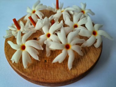 Servis tahtasındaki taze parijat çiçekleri. Çeşitli kullanımları var, hem tıbbi hem de kültürel. Ayurvedic tıpta ateş, öksürük ve soğuk algınlığını tedavi etmek için kullanılır. Çiçekler Hindu ayinlerinde ve tanrılara adak olarak da kullanılır.