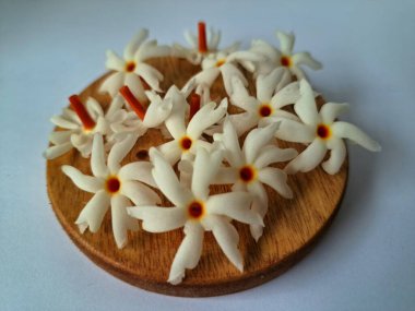 Servis tahtasındaki taze parijat çiçekleri. Çeşitli kullanımları var, hem tıbbi hem de kültürel. Ayurvedic tıpta ateş, öksürük ve soğuk algınlığını tedavi etmek için kullanılır. Çiçekler Hindu ayinlerinde ve tanrılara adak olarak da kullanılır.