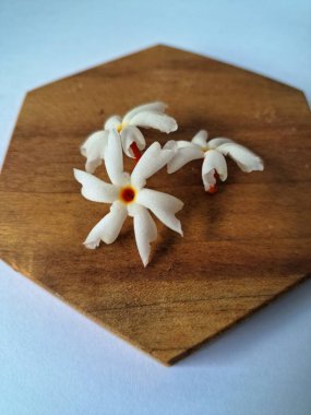 Servis tahtasındaki taze parijat çiçekleri. Çeşitli kullanımları var, hem tıbbi hem de kültürel. Ayurvedic tıpta ateş, öksürük ve soğuk algınlığını tedavi etmek için kullanılır. Çiçekler Hindu ayinlerinde ve tanrılara adak olarak da kullanılır.