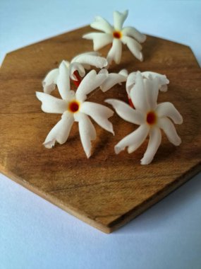 Servis tahtasındaki taze parijat çiçekleri. Çeşitli kullanımları var, hem tıbbi hem de kültürel. Ayurvedic tıpta ateş, öksürük ve soğuk algınlığını tedavi etmek için kullanılır. Çiçekler Hindu ayinlerinde ve tanrılara adak olarak da kullanılır.