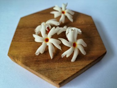 Servis tahtasındaki taze parijat çiçekleri. Çeşitli kullanımları var, hem tıbbi hem de kültürel. Ayurvedic tıpta ateş, öksürük ve soğuk algınlığını tedavi etmek için kullanılır. Çiçekler Hindu ayinlerinde ve tanrılara adak olarak da kullanılır.