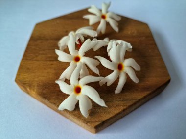 Servis tahtasındaki taze parijat çiçekleri. Çeşitli kullanımları var, hem tıbbi hem de kültürel. Ayurvedic tıpta ateş, öksürük ve soğuk algınlığını tedavi etmek için kullanılır. Çiçekler Hindu ayinlerinde ve tanrılara adak olarak da kullanılır.