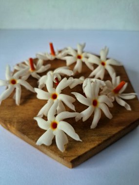 Servis tahtasındaki taze parijat çiçekleri. Çeşitli kullanımları var, hem tıbbi hem de kültürel. Ayurvedic tıpta ateş, öksürük ve soğuk algınlığını tedavi etmek için kullanılır. Çiçekler Hindu ayinlerinde ve tanrılara adak olarak da kullanılır.