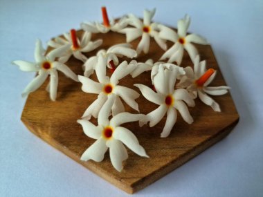 Servis tahtasındaki taze parijat çiçekleri. Çeşitli kullanımları var, hem tıbbi hem de kültürel. Ayurvedic tıpta ateş, öksürük ve soğuk algınlığını tedavi etmek için kullanılır. Çiçekler Hindu ayinlerinde ve tanrılara adak olarak da kullanılır.