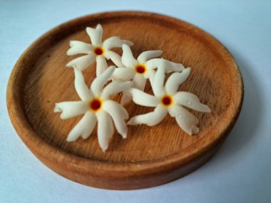 Servis tahtasındaki taze parijat çiçekleri. Çeşitli kullanımları var, hem tıbbi hem de kültürel. Ayurvedic tıpta ateş, öksürük ve soğuk algınlığını tedavi etmek için kullanılır. Çiçekler Hindu ayinlerinde ve tanrılara adak olarak da kullanılır.