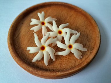 Servis tahtasındaki taze parijat çiçekleri. Çeşitli kullanımları var, hem tıbbi hem de kültürel. Ayurvedic tıpta ateş, öksürük ve soğuk algınlığını tedavi etmek için kullanılır. Çiçekler Hindu ayinlerinde ve tanrılara adak olarak da kullanılır.