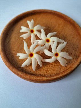 Servis tahtasındaki taze parijat çiçekleri. Çeşitli kullanımları var, hem tıbbi hem de kültürel. Ayurvedic tıpta ateş, öksürük ve soğuk algınlığını tedavi etmek için kullanılır. Çiçekler Hindu ayinlerinde ve tanrılara adak olarak da kullanılır.