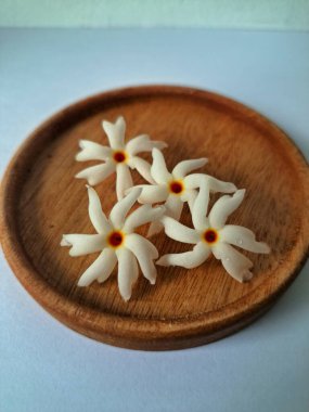 Servis tahtasındaki taze parijat çiçekleri. Çeşitli kullanımları var, hem tıbbi hem de kültürel. Ayurvedic tıpta ateş, öksürük ve soğuk algınlığını tedavi etmek için kullanılır. Çiçekler Hindu ayinlerinde ve tanrılara adak olarak da kullanılır.