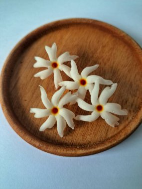 Servis tahtasındaki taze parijat çiçekleri. Çeşitli kullanımları var, hem tıbbi hem de kültürel. Ayurvedic tıpta ateş, öksürük ve soğuk algınlığını tedavi etmek için kullanılır. Çiçekler Hindu ayinlerinde ve tanrılara adak olarak da kullanılır.