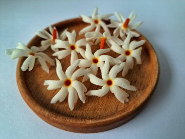 Servis tahtasındaki taze parijat çiçekleri. Çeşitli kullanımları var, hem tıbbi hem de kültürel. Ayurvedic tıpta ateş, öksürük ve soğuk algınlığını tedavi etmek için kullanılır. Çiçekler Hindu ayinlerinde ve tanrılara adak olarak da kullanılır.