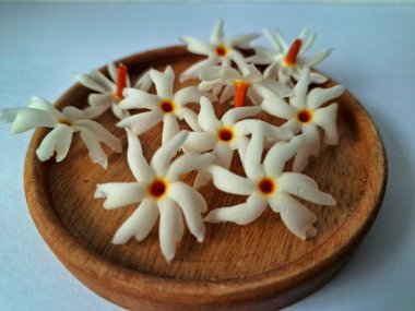 Servis tahtasındaki taze parijat çiçekleri. Çeşitli kullanımları var, hem tıbbi hem de kültürel. Ayurvedic tıpta ateş, öksürük ve soğuk algınlığını tedavi etmek için kullanılır. Çiçekler Hindu ayinlerinde ve tanrılara adak olarak da kullanılır.