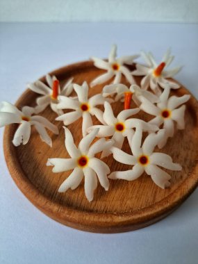 Servis tahtasındaki taze parijat çiçekleri. Çeşitli kullanımları var, hem tıbbi hem de kültürel. Ayurvedic tıpta ateş, öksürük ve soğuk algınlığını tedavi etmek için kullanılır. Çiçekler Hindu ayinlerinde ve tanrılara adak olarak da kullanılır.