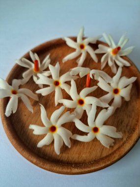 Servis tahtasındaki taze parijat çiçekleri. Çeşitli kullanımları var, hem tıbbi hem de kültürel. Ayurvedic tıpta ateş, öksürük ve soğuk algınlığını tedavi etmek için kullanılır. Çiçekler Hindu ayinlerinde ve tanrılara adak olarak da kullanılır.