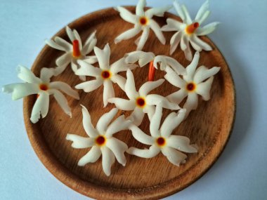 Servis tahtasındaki taze parijat çiçekleri. Çeşitli kullanımları var, hem tıbbi hem de kültürel. Ayurvedic tıpta ateş, öksürük ve soğuk algınlığını tedavi etmek için kullanılır. Çiçekler Hindu ayinlerinde ve tanrılara adak olarak da kullanılır.