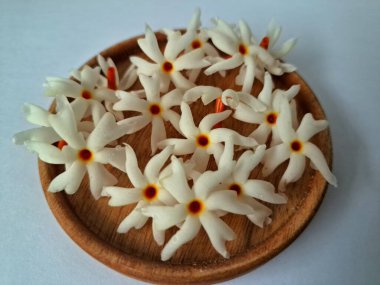 Servis tahtasındaki taze parijat çiçekleri. Çeşitli kullanımları var, hem tıbbi hem de kültürel. Ayurvedic tıpta ateş, öksürük ve soğuk algınlığını tedavi etmek için kullanılır. Çiçekler Hindu ayinlerinde ve tanrılara adak olarak da kullanılır.