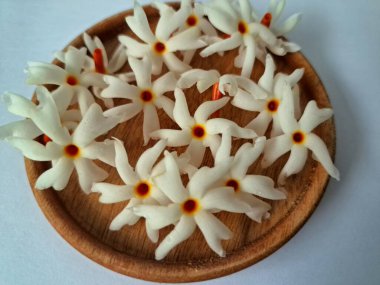 Servis tahtasındaki taze parijat çiçekleri. Çeşitli kullanımları var, hem tıbbi hem de kültürel. Ayurvedic tıpta ateş, öksürük ve soğuk algınlığını tedavi etmek için kullanılır. Çiçekler Hindu ayinlerinde ve tanrılara adak olarak da kullanılır.