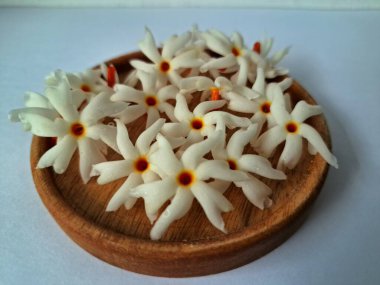 Servis tahtasındaki taze parijat çiçekleri. Çeşitli kullanımları var, hem tıbbi hem de kültürel. Ayurvedic tıpta ateş, öksürük ve soğuk algınlığını tedavi etmek için kullanılır. Çiçekler Hindu ayinlerinde ve tanrılara adak olarak da kullanılır.