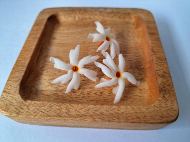 Tahta üzerinde taze parijat çiçekleri. Çeşitli kullanımları var, hem tıbbi hem de kültürel. Ayurvedic tıpta ateş, öksürük ve soğuk algınlığını tedavi etmek için kullanılır. Çiçekler Hindu ayinlerinde ve tanrılara adak olarak da kullanılır.